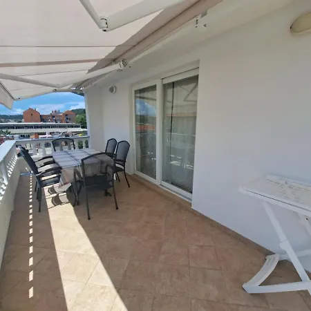 Dijana New Translation