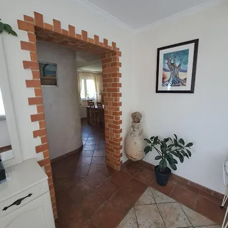 Dijana Apartmán New Translation